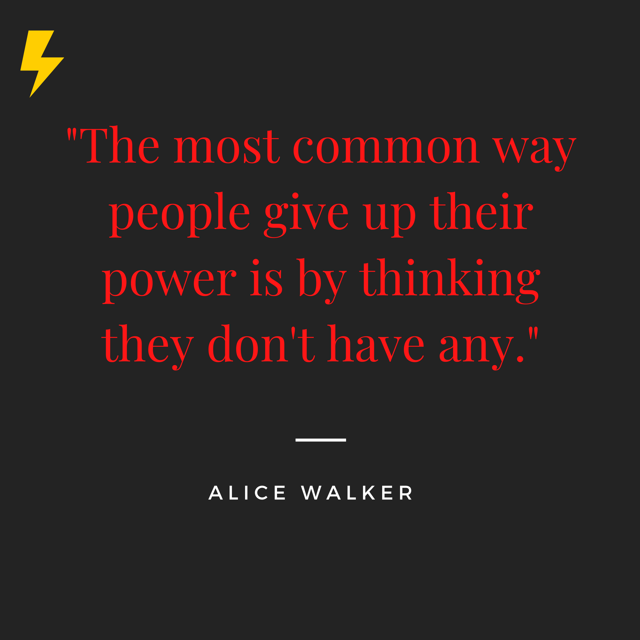 “The most common way people give up their power is by thinking they don’t have any.” -Alice Walker
