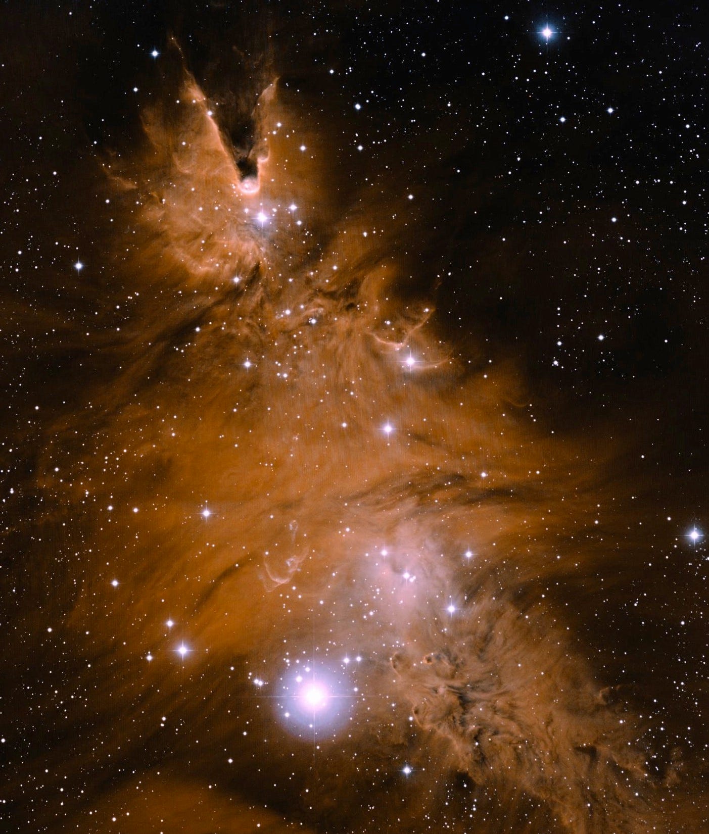 The Christmas Tree Cluster. Light up your holidays with the… by Ethan