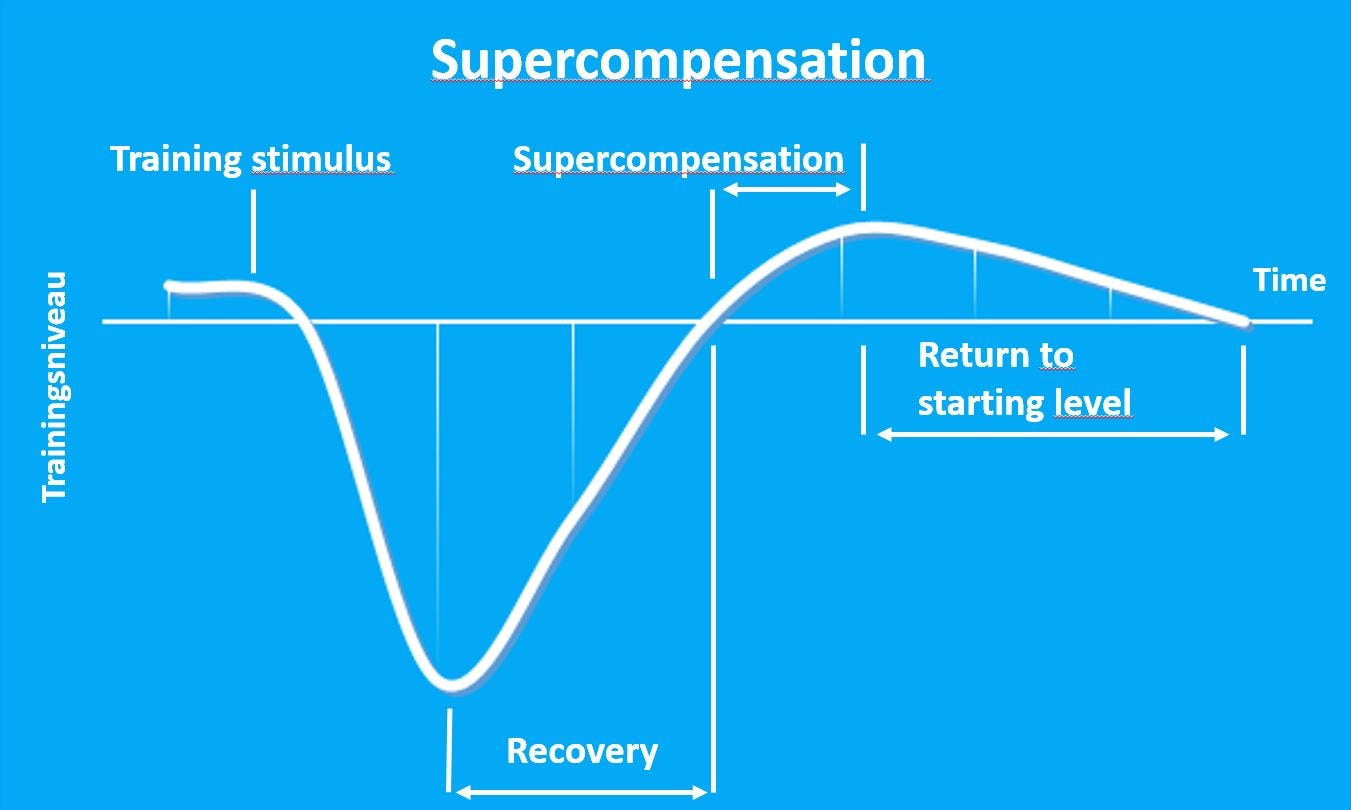 Superkompensation-teorien og restitutionstid