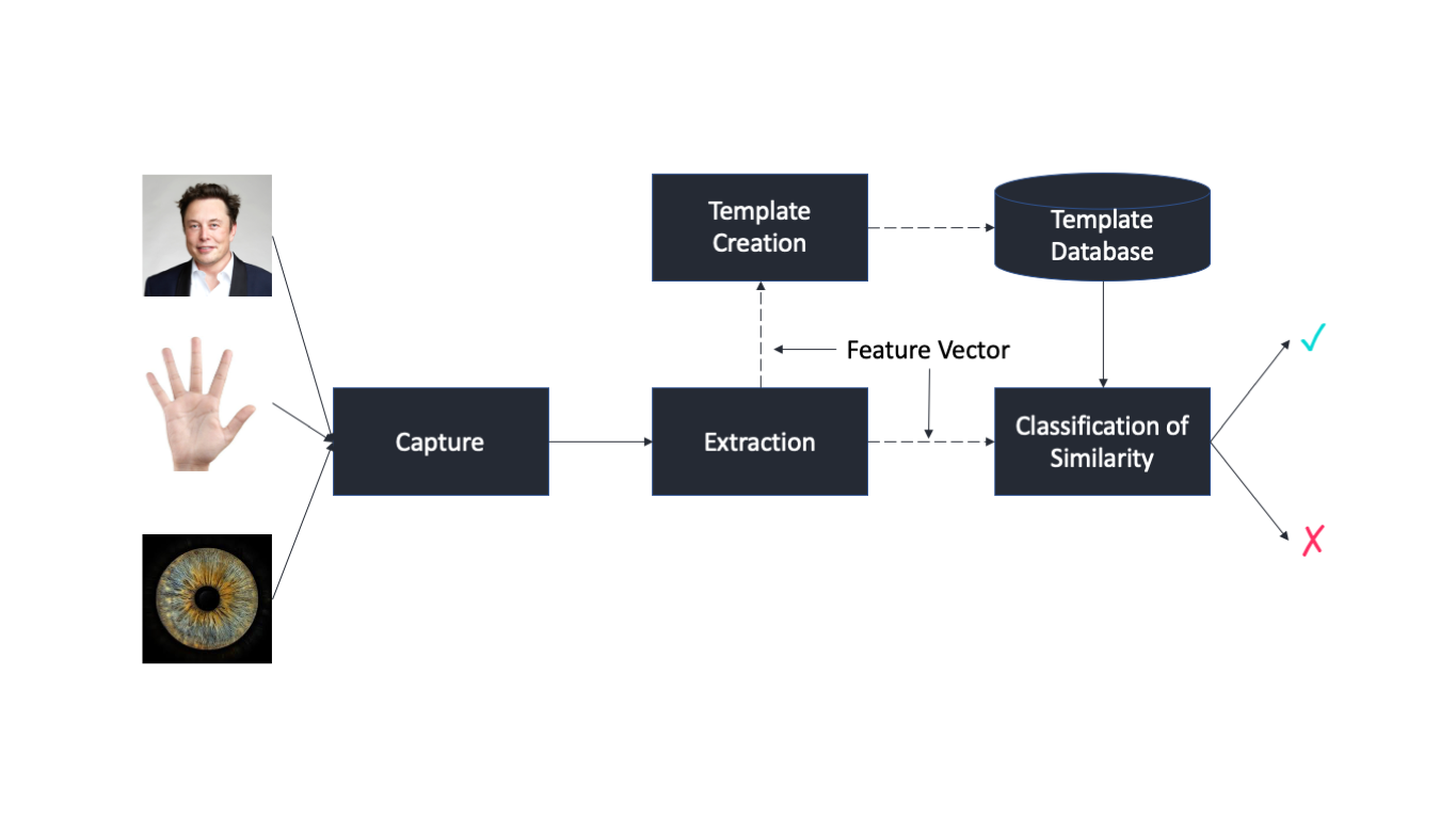 Biometric Authentication Methods. Fingerprints, facial recognition