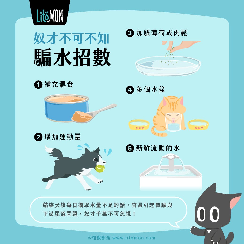 寵物行為學 貓狗不愛喝水怎麼辦 貓咪 狗狗一天該喝多少水 如何提起他們喝水的興趣呢 By 怪獸部落 Medium 寵物行為學 貓狗不愛喝水怎麼辦 貓咪 狗狗一天該喝多少水 如何提起他們喝水的興趣呢 By 怪獸部落 Medium