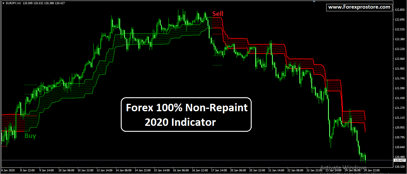 forex from 100 to 1000