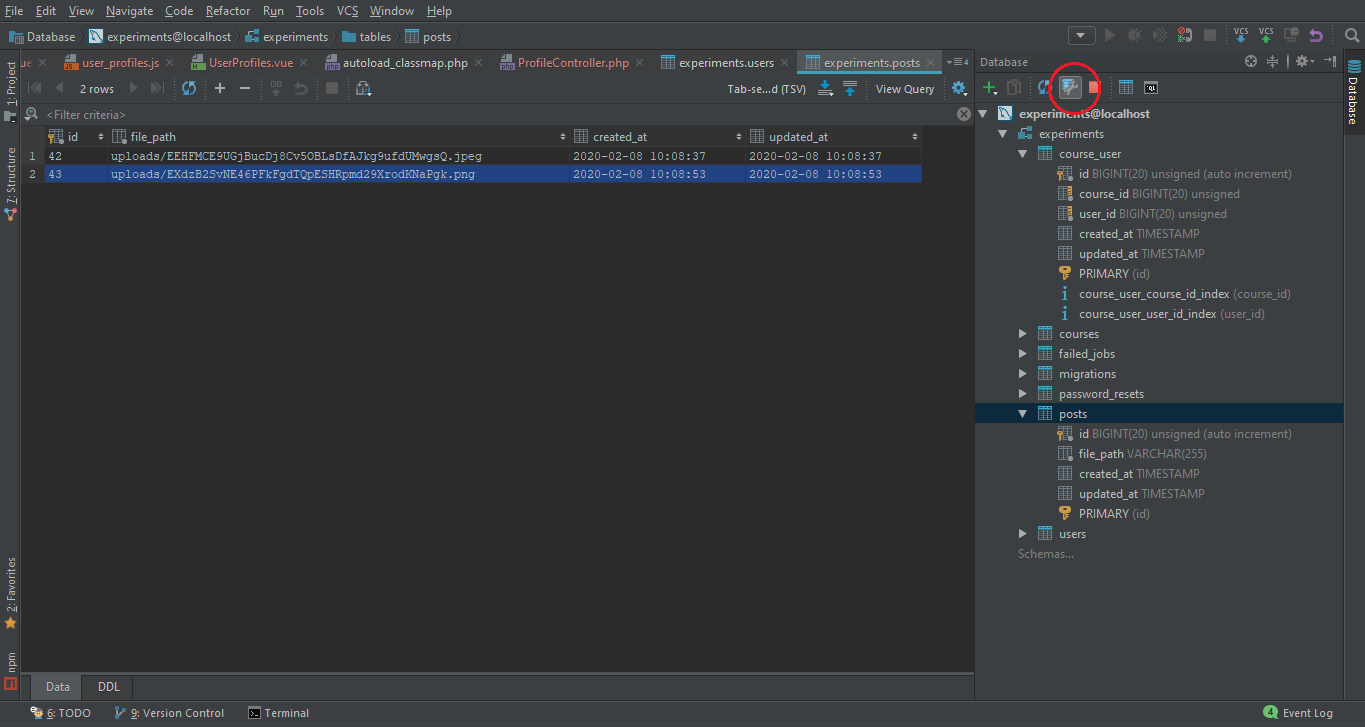 phpstorm mysql