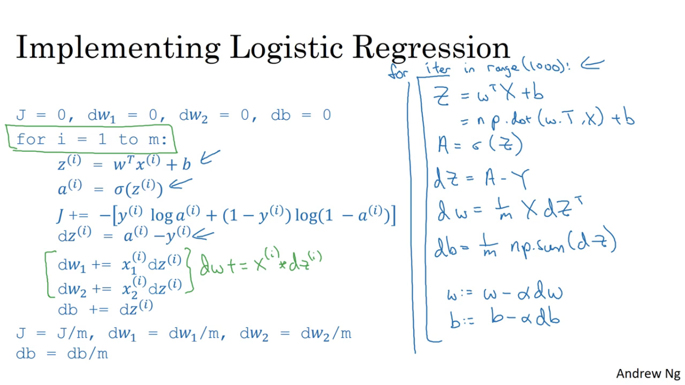 andrew ng backpropagation