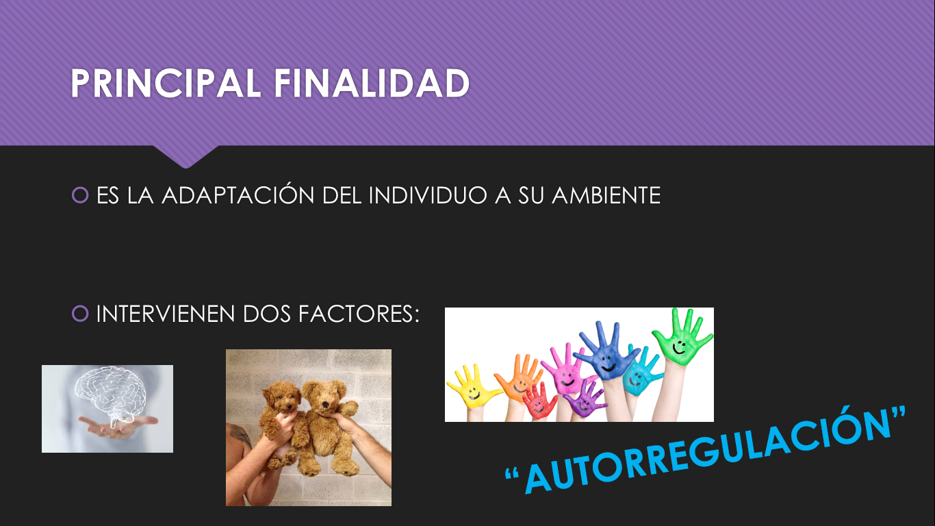 Teoria Cognitiva Jean Piaget By Maria Diaz Psicopatologia Del Desarrollo Infantil 2019 2 Medium