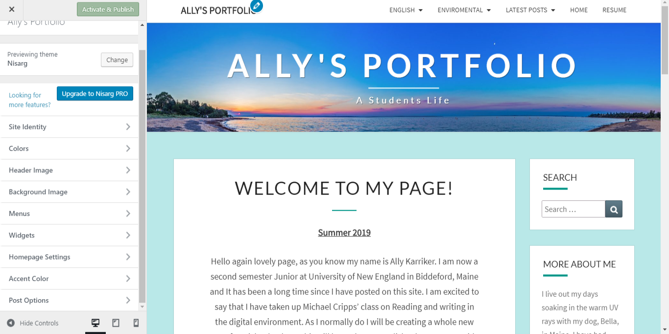 How to Style your ePortfolio. A step by step how to, with visuals to