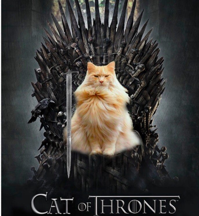 Youtube Got The Kat S Tongue By Jesse Redniss Medium