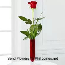 Cute Single Red Rose