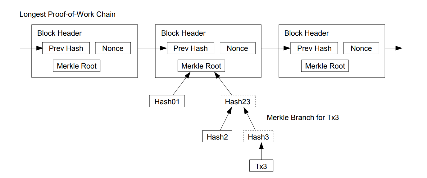 Spv Proofs Explained A Primer On Simple Payment Verification By Albert Acebron Coinmonks Medium
