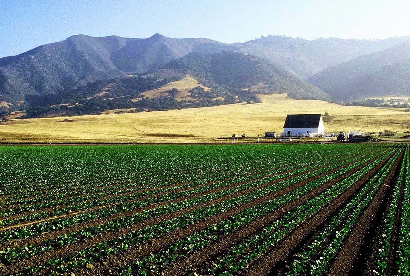 Fish Veg Wine Exploring The Bounty Of Monterey County - 