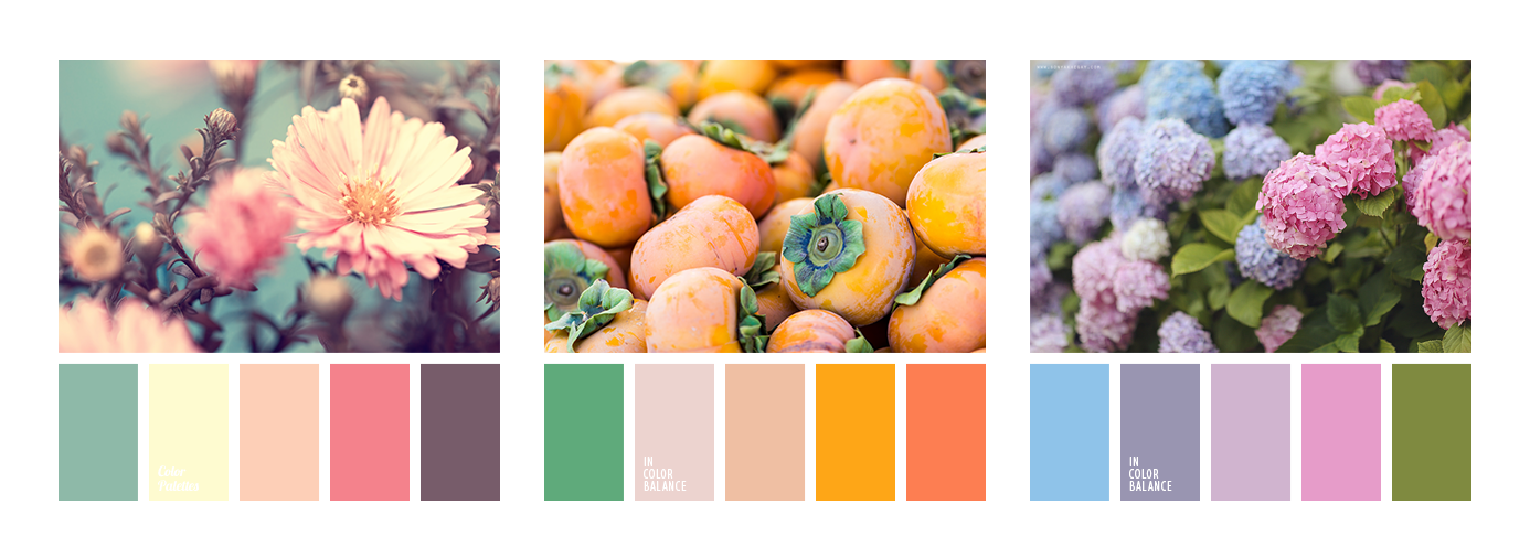 Natural color palettes for UI design | by Anna Grenn | UX Planet