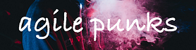 Agile Punks