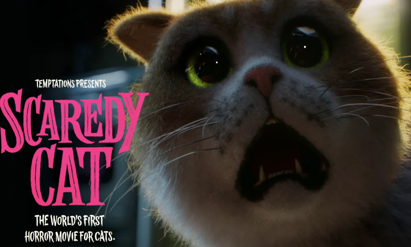 This Canadian Brand Launched the First-Ever Funny Scary Movie for Cats