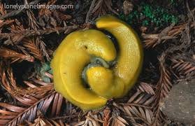 Image for post