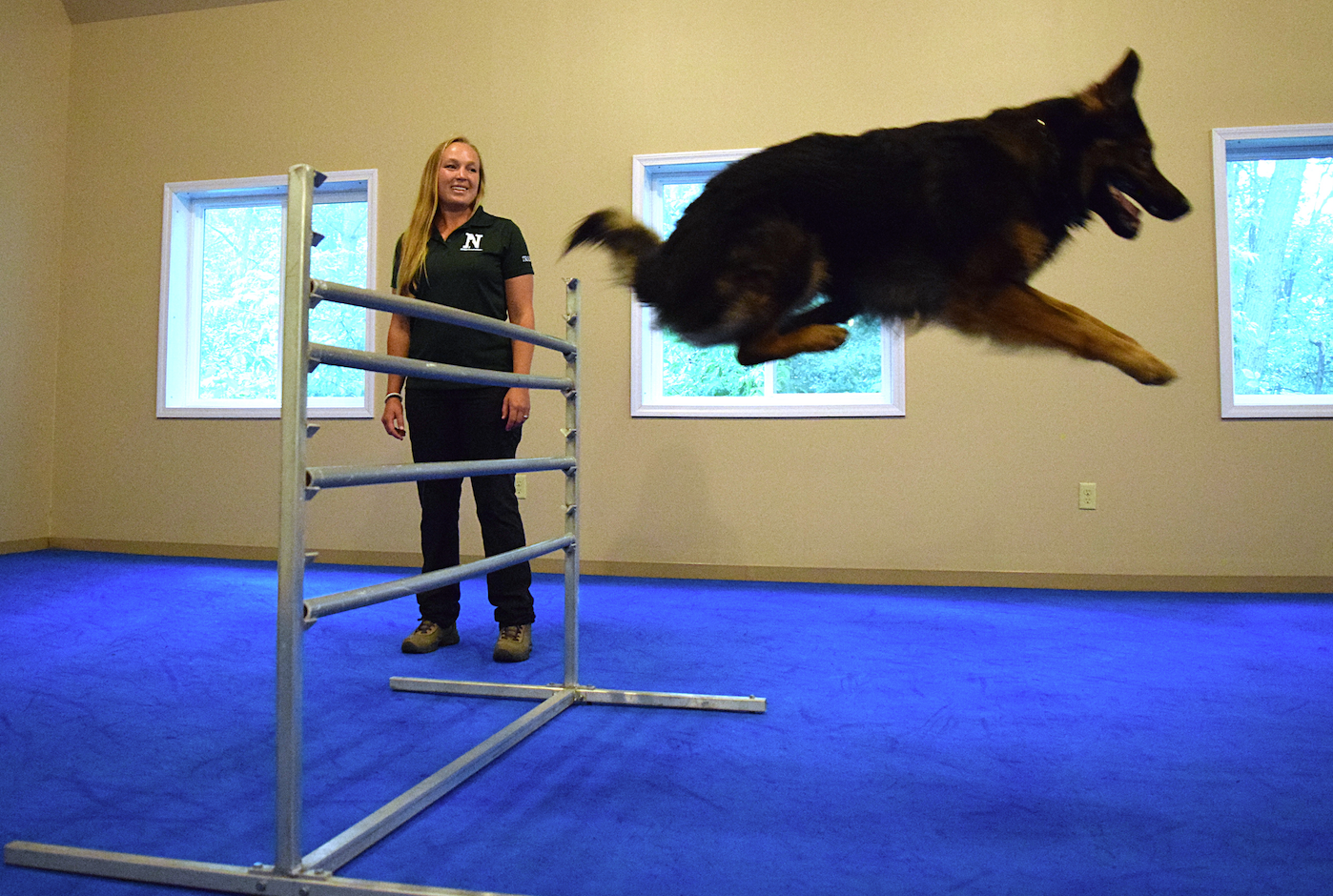K 9 Academy Beats Mother Nature With Patio Tiles And Foam Mats