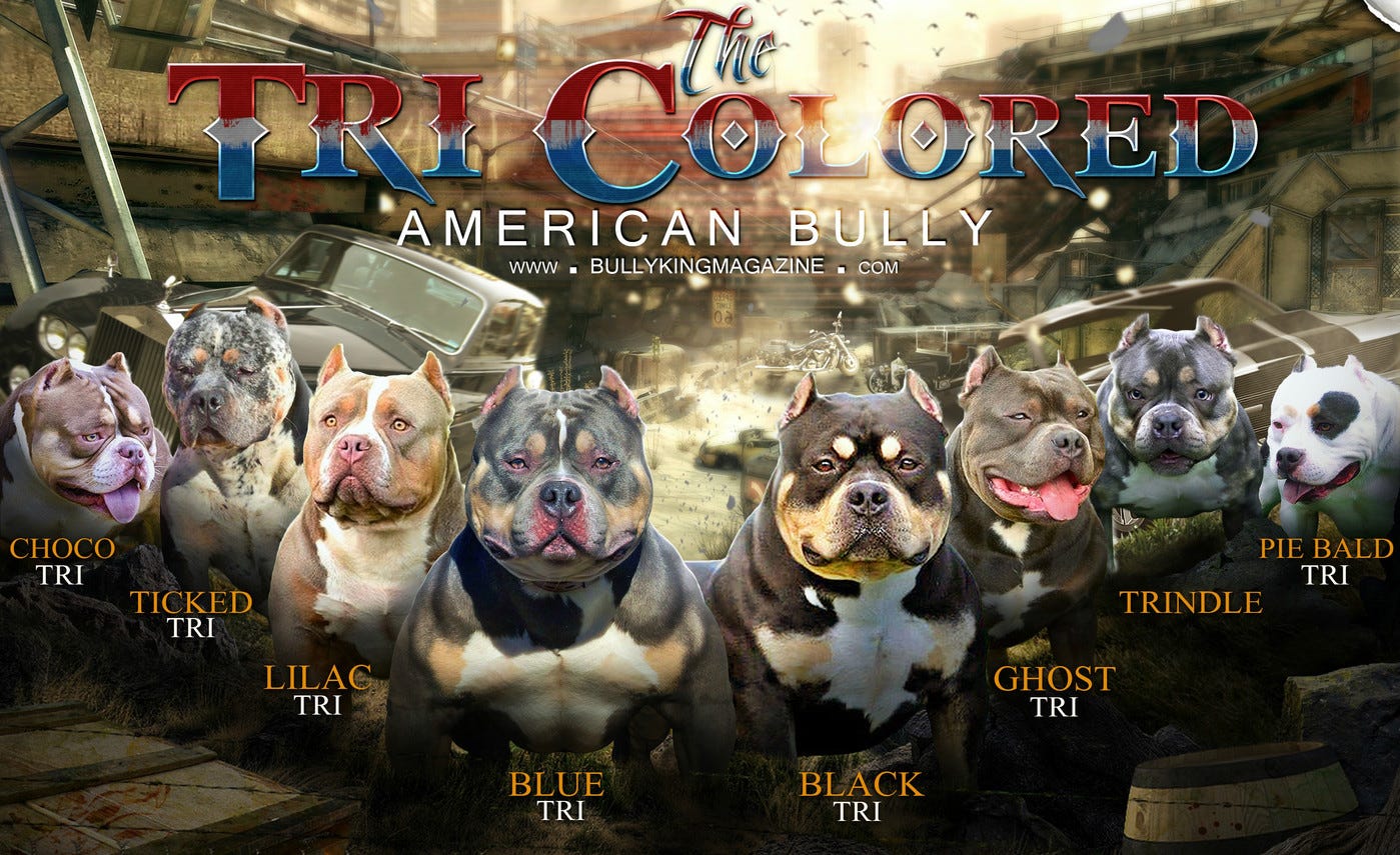 Ukc Color Chart For Pitbulls