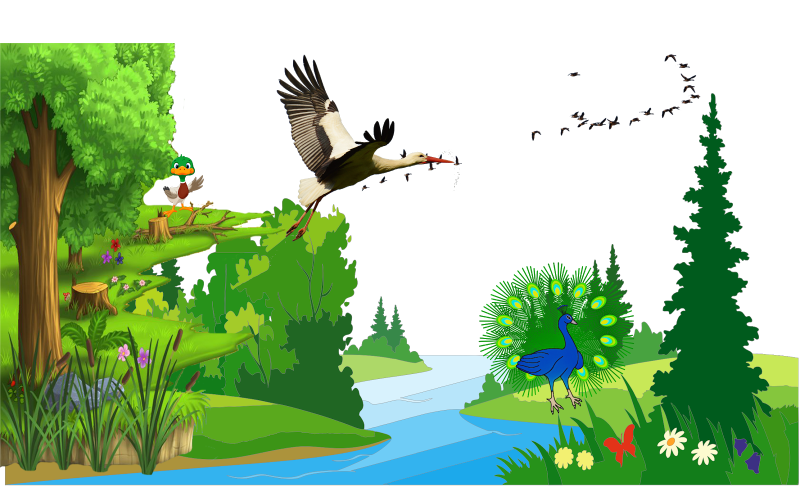 Burung Bangau Dan Burung Merak Yang Sombong Mantan Guru Medium