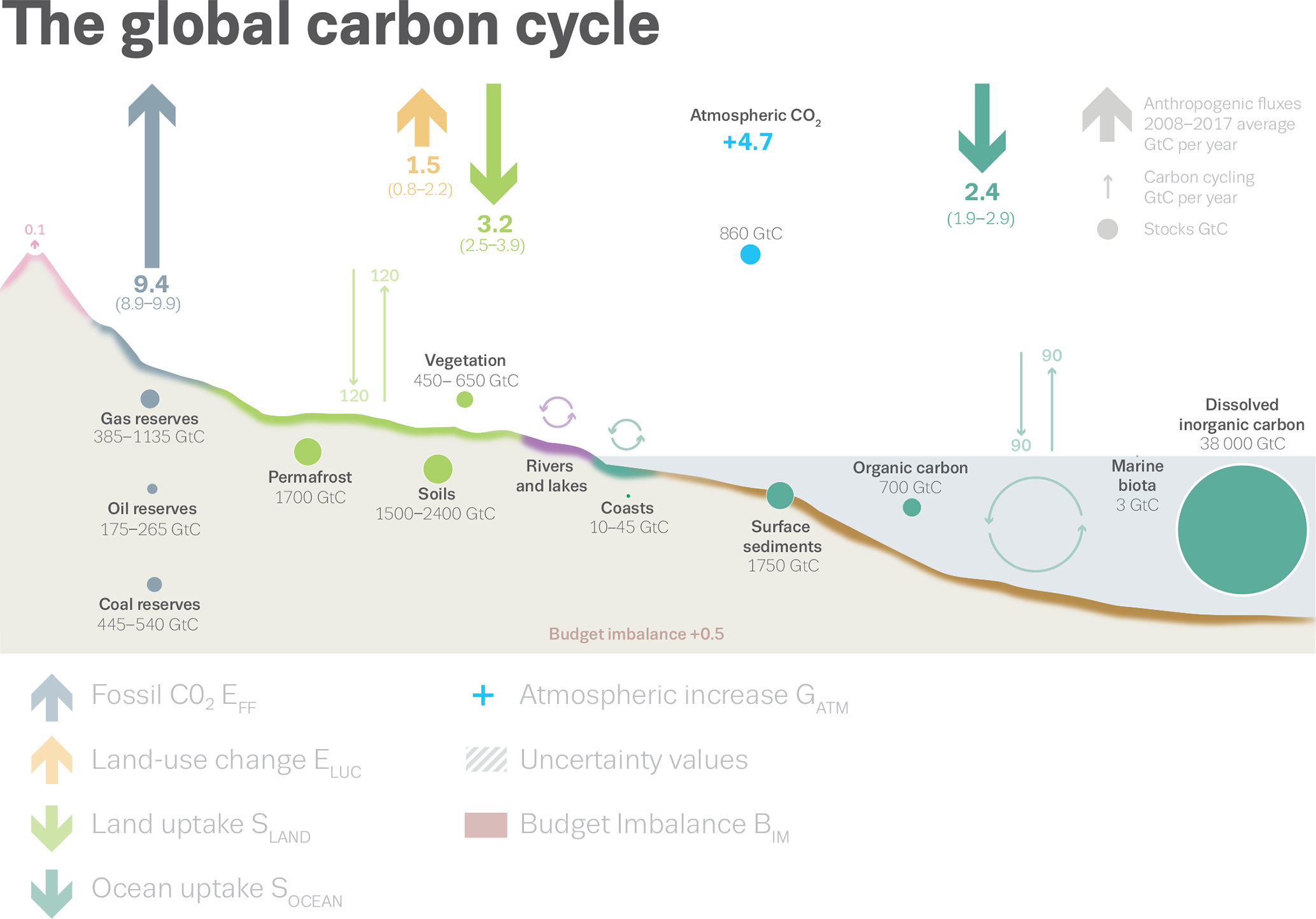Why Are Carbon Sinks So Important Noteworthy The