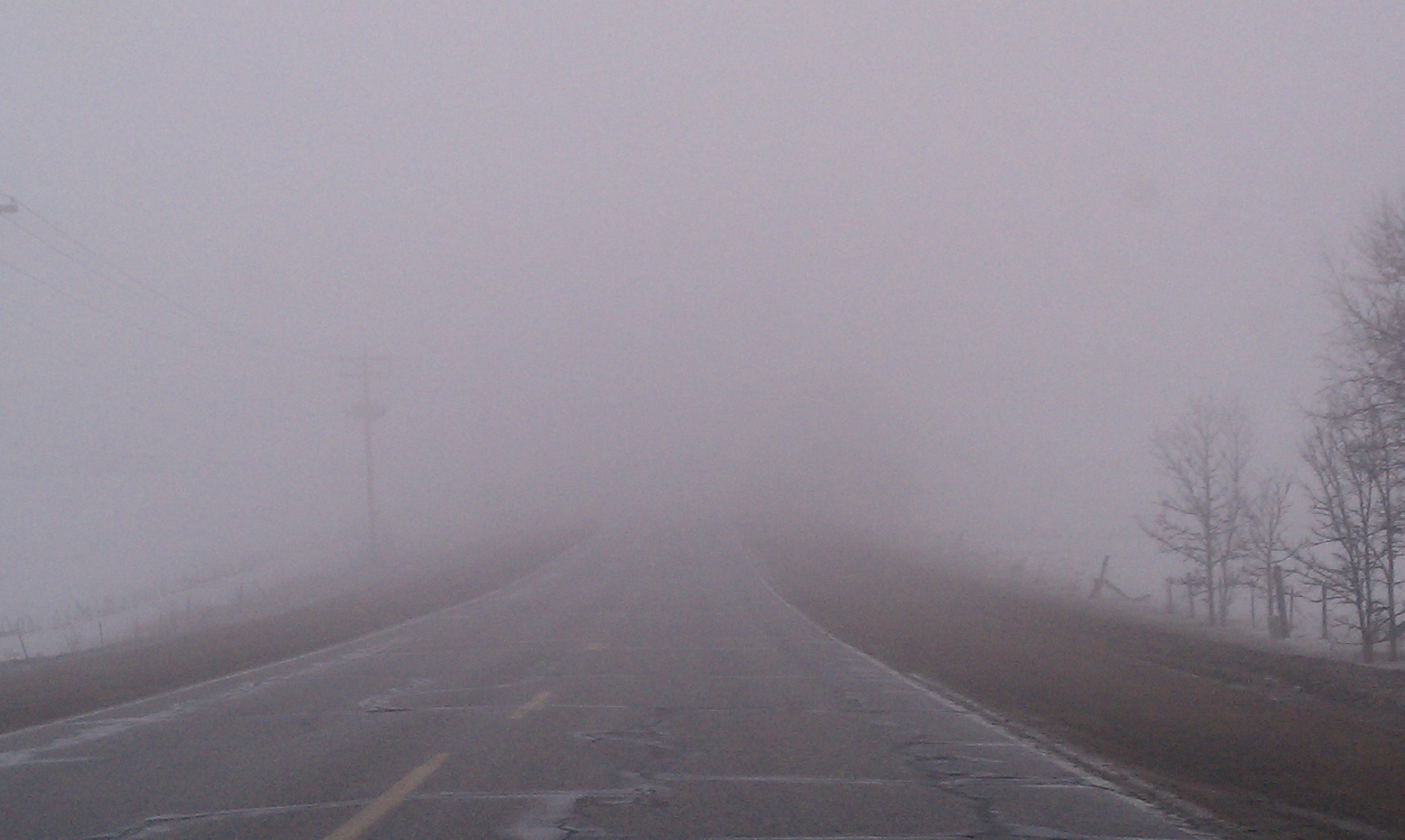 Foggy Road Ahead? Take Small Steps. by Barbara Bellissimo Thrive