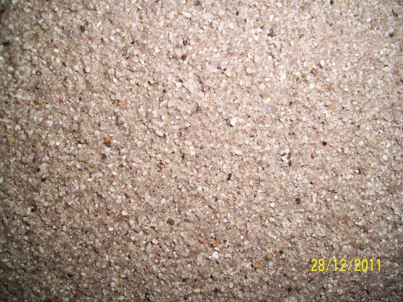 Jasa Cat Tekstur Arturo Tekstur Multi Warna Tekstur Pasir Tekstur Semprot By Kreasi Karya Cipta Medium