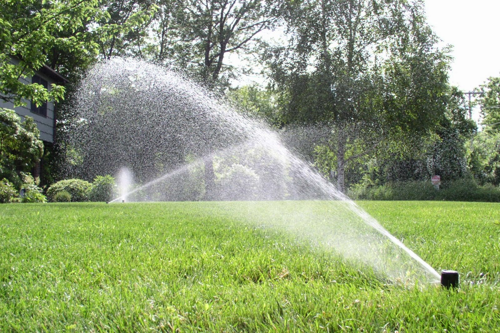 ¿Cómo hacer un riego automático para mi jardín? by Prensa GOPLACEIT_DATOS Medium ¿Cómo hacer un riego automático para mi jardín? by Prensa GOPLACEIT_DATOS Medium