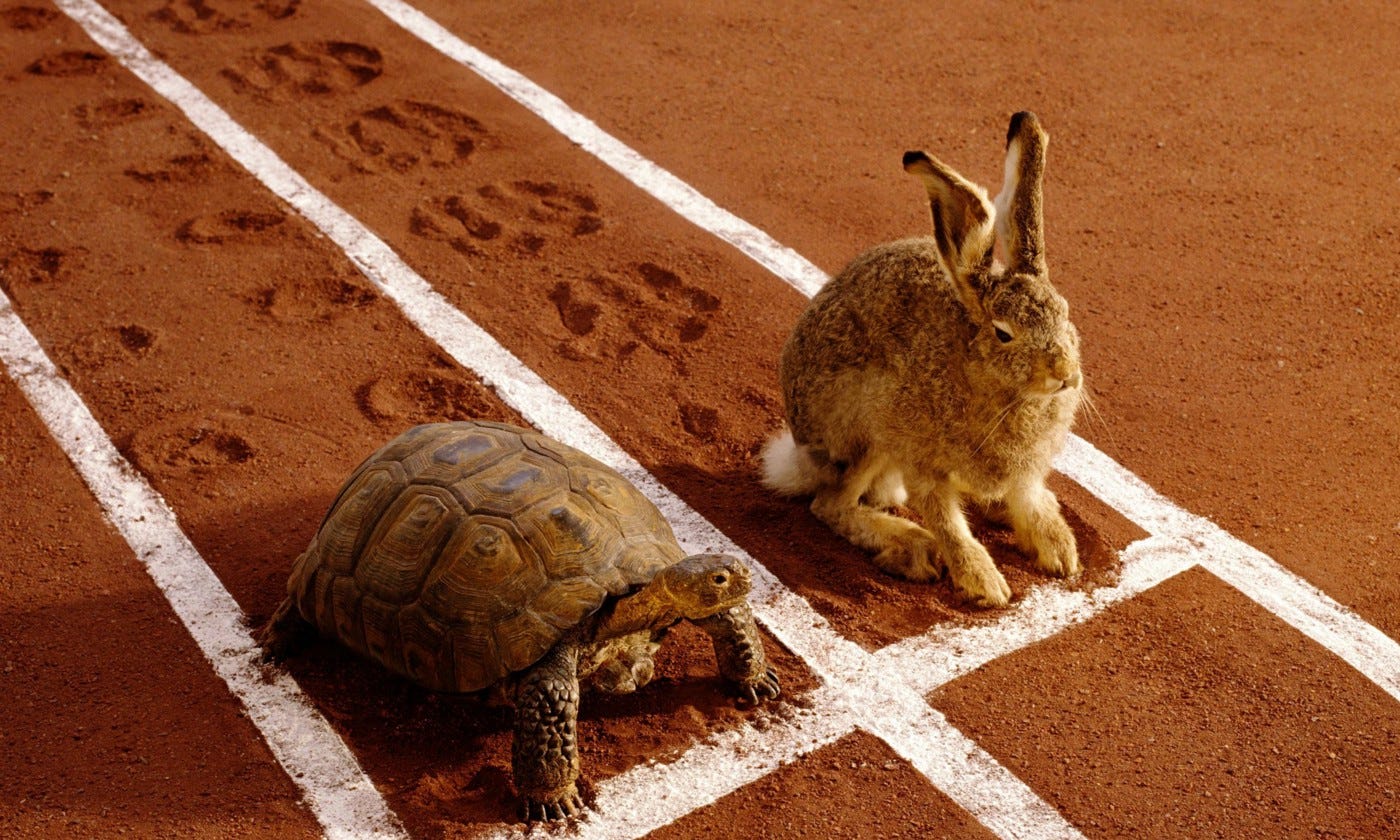 Are You the Tortoise or the Hare? | by Gary Ryan Blair | Mind Munchies | Medium, pacing, 