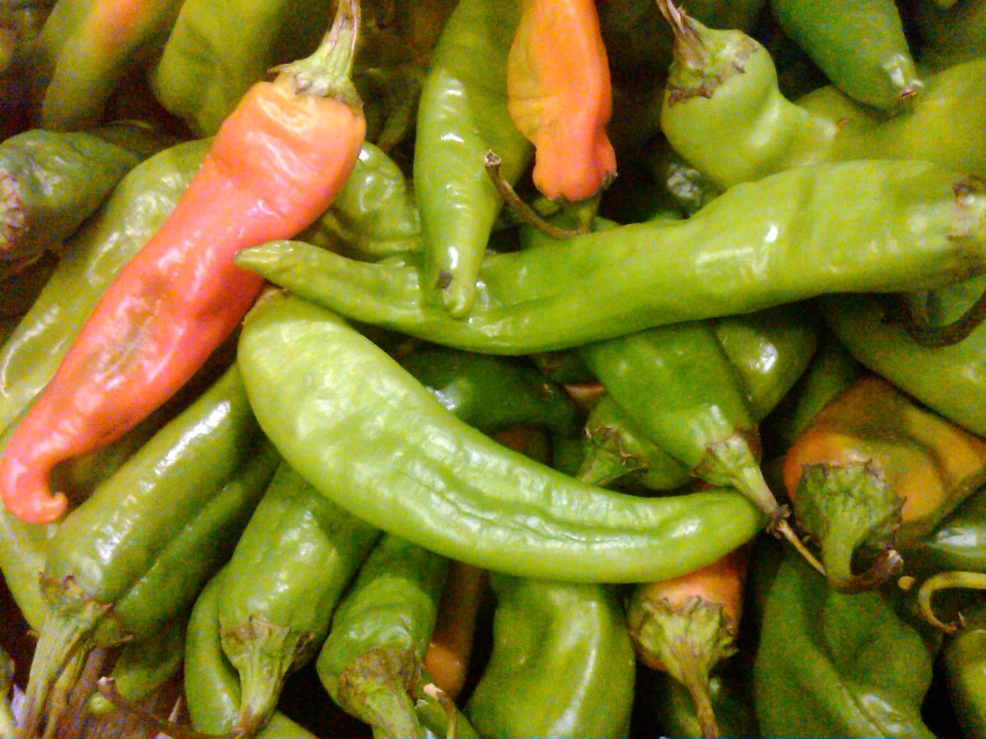 Hatch chiles are back on the Peninsula. by Traci Hukill THE SIX FIFTY
