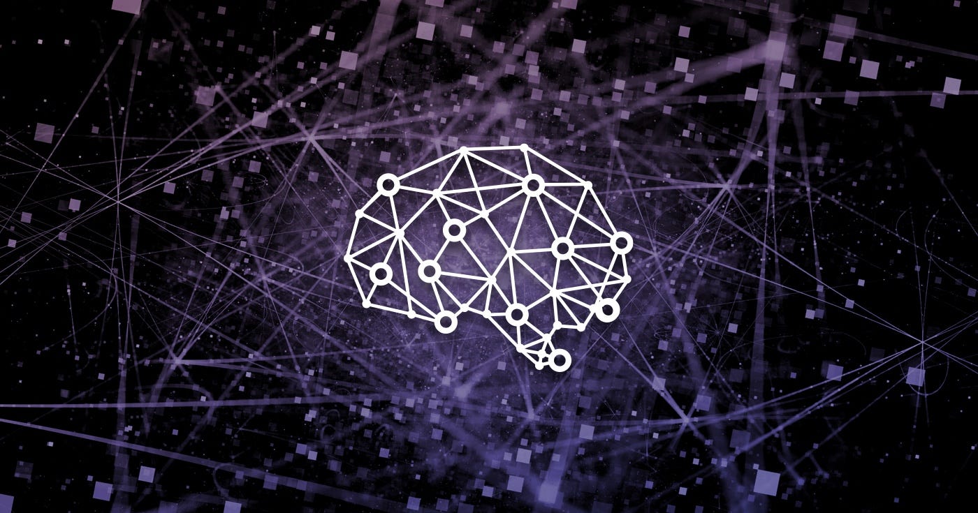 A sneak peek into Dynamic Neural Networks | by Wassa Team | Wassa | Medium