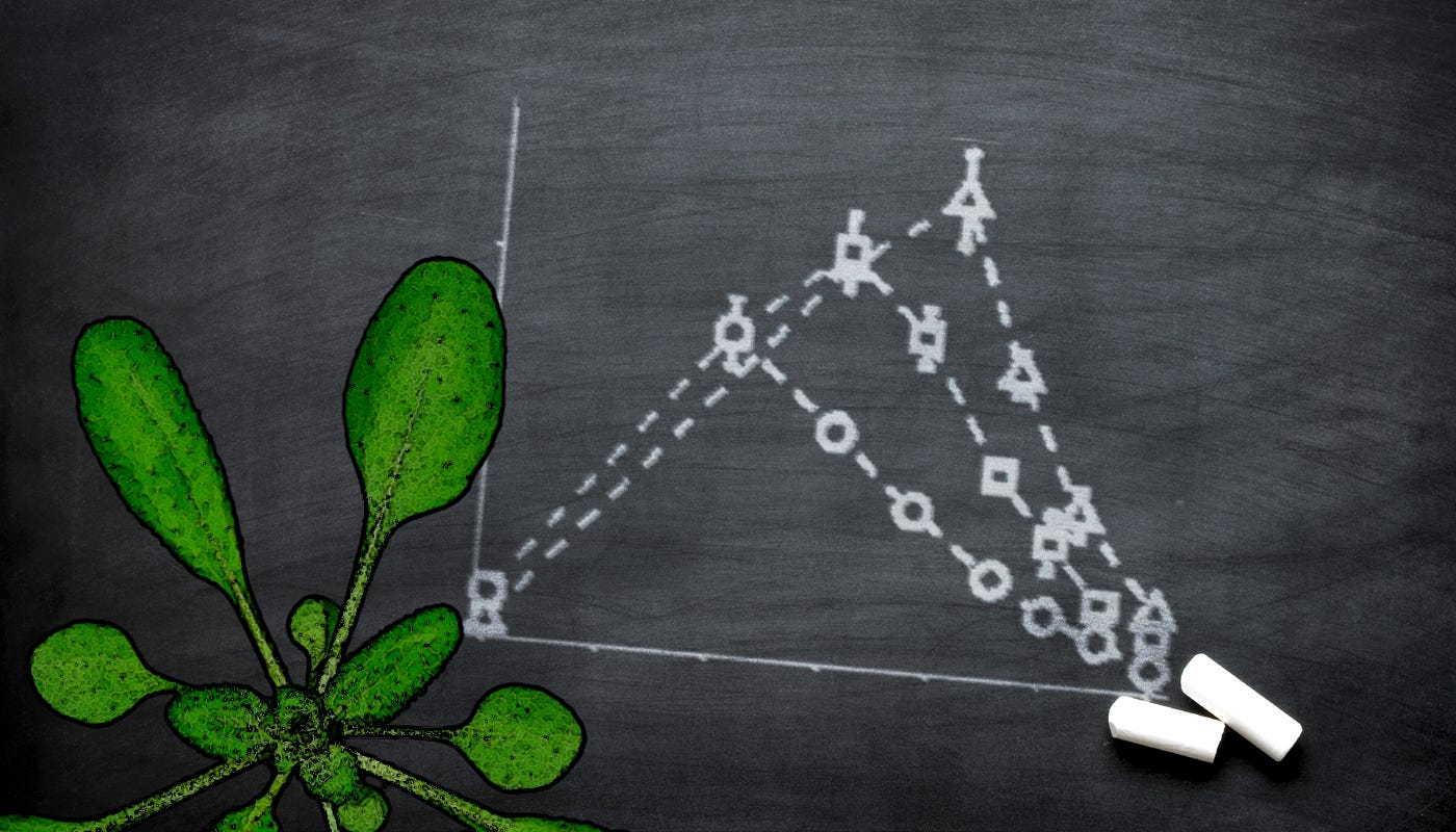 Plants can ‘do maths’. Plants perform complex arithmetic… by eLife