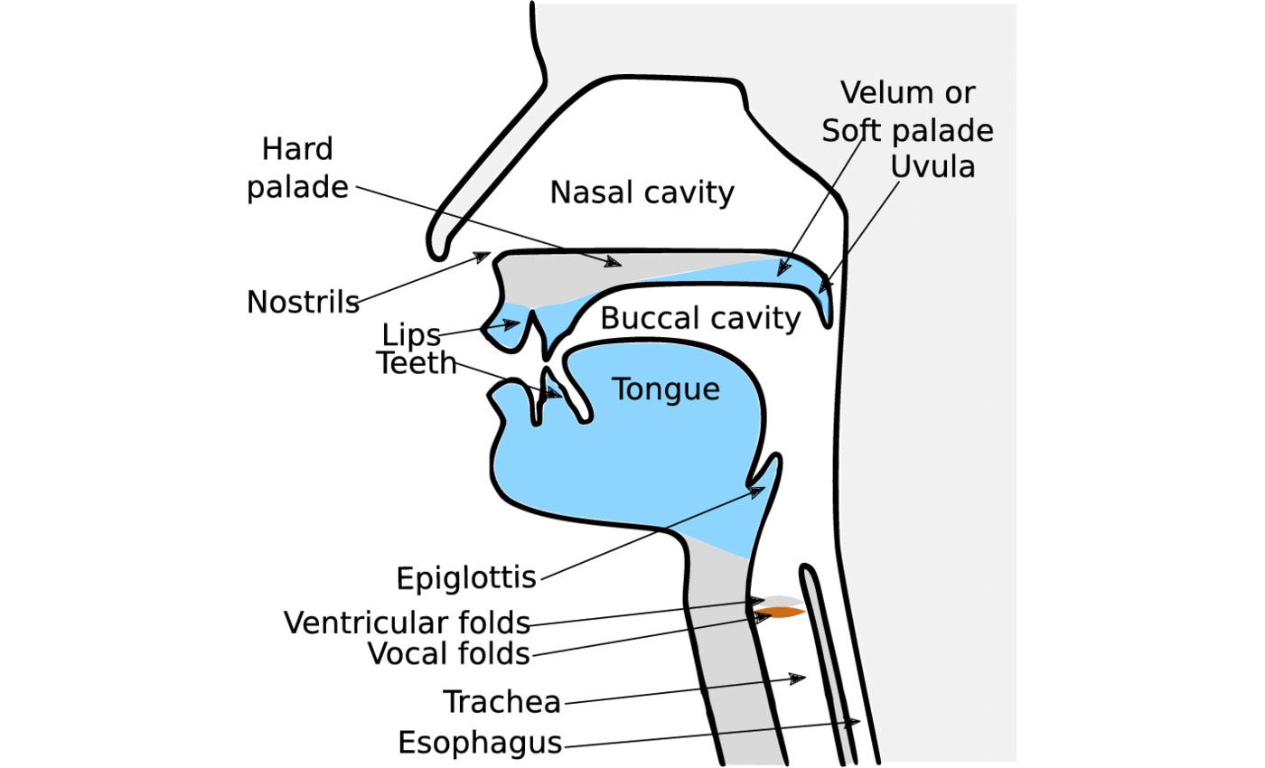 Speech Recognition — Jonathan Hui Medium