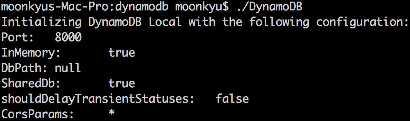 local dynamodb not running local dynamodb not running