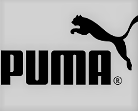 puma code