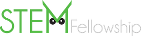 STEM Fellowship