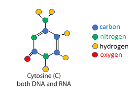 Defining Genomics, Transcriptomics, and Proteomics for Data Scientists 6