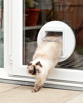 Pet Door Installation In Melbourne Pet Doors Melbourne Medium