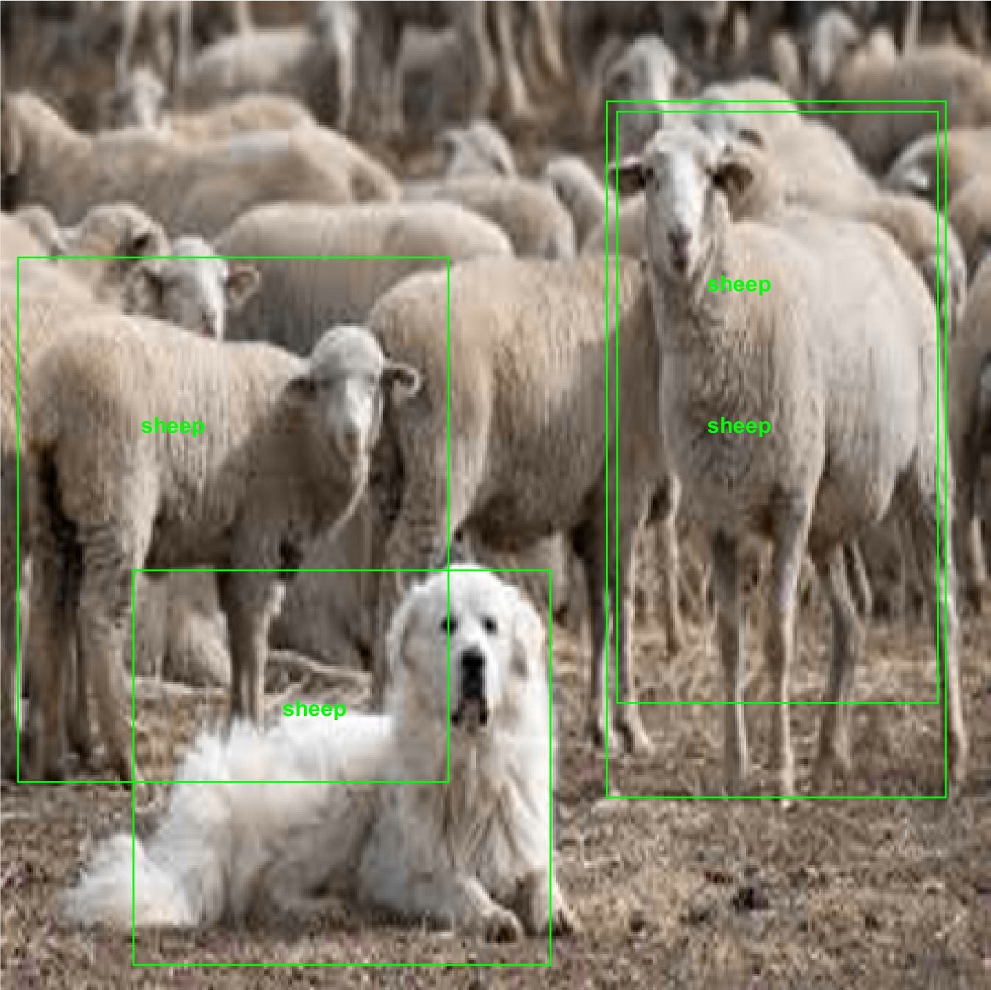 YOLO is Sheep Obsessed: Environmental Context in Unified Object ...