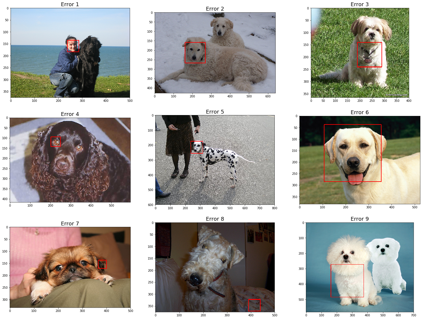 Applying Transfer Learning In Cnns For Dog Breed Classification By Mark C F Sousa Towards Data Science