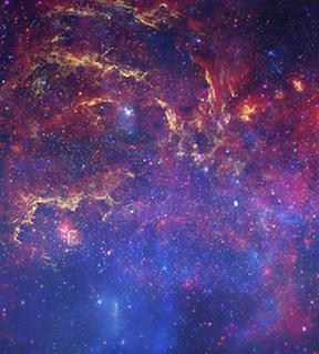 Hide Seek A Poem By Carol Matos By Broad Street Magazine Birth School Work Death Medium