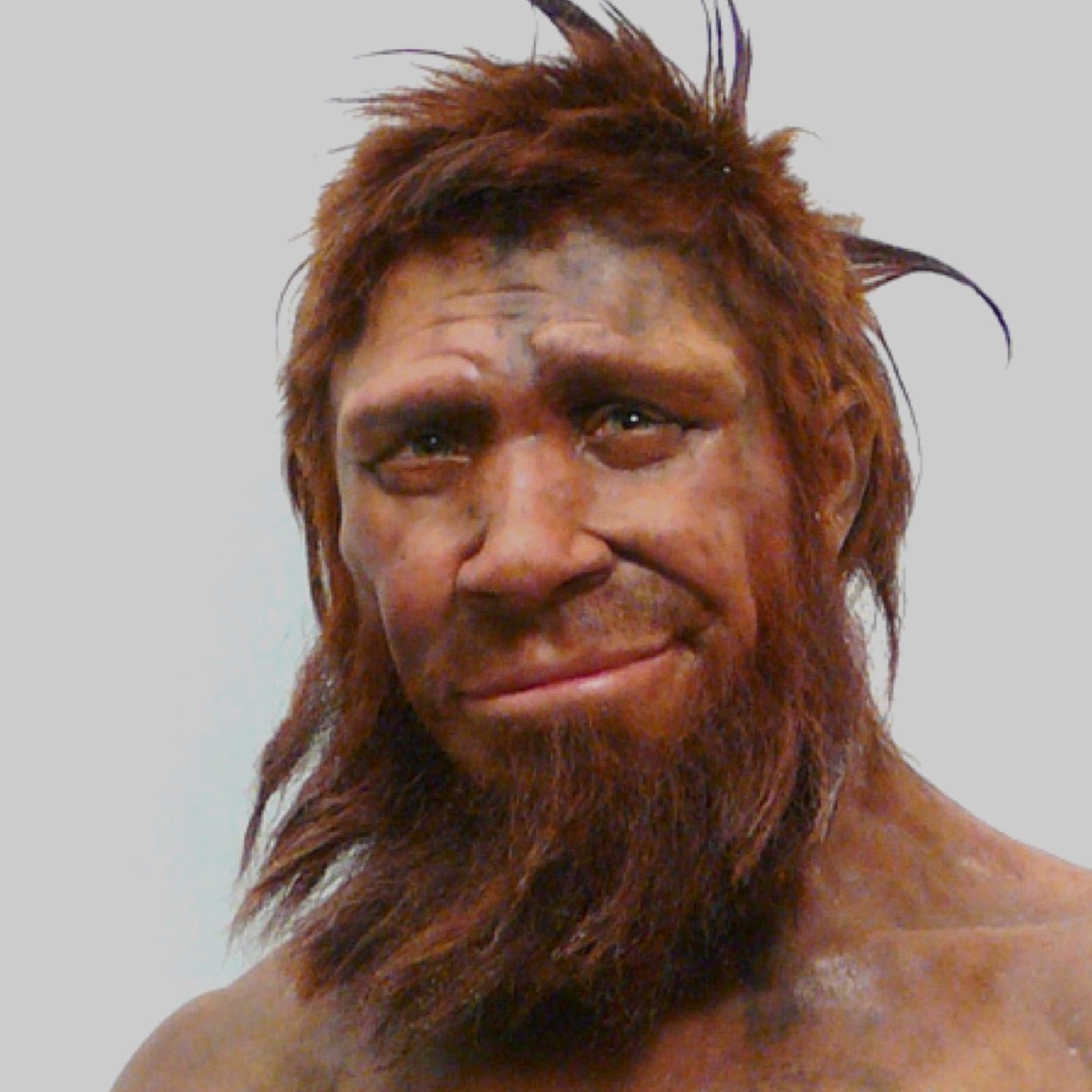 Image result for neanderthal