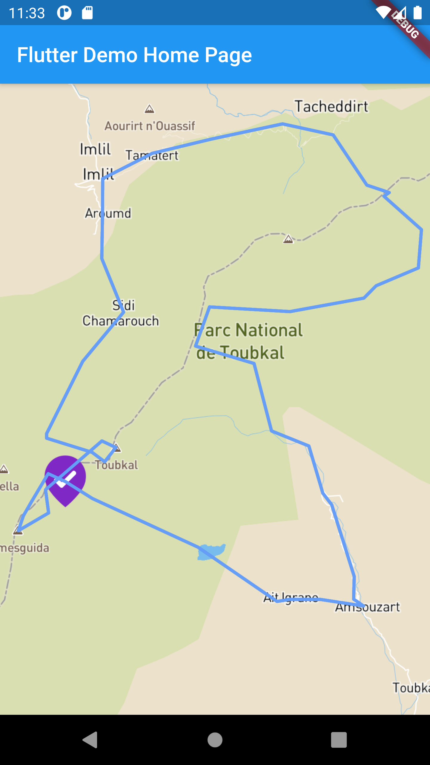Flutter Display map, markers, and polyline using MapBox