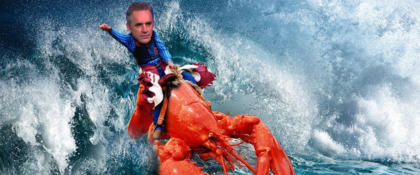 16 Jordan Peterson Memes That Made Me Clean My Room With Laughter | by Jon  Brooks | High Existence | Medium