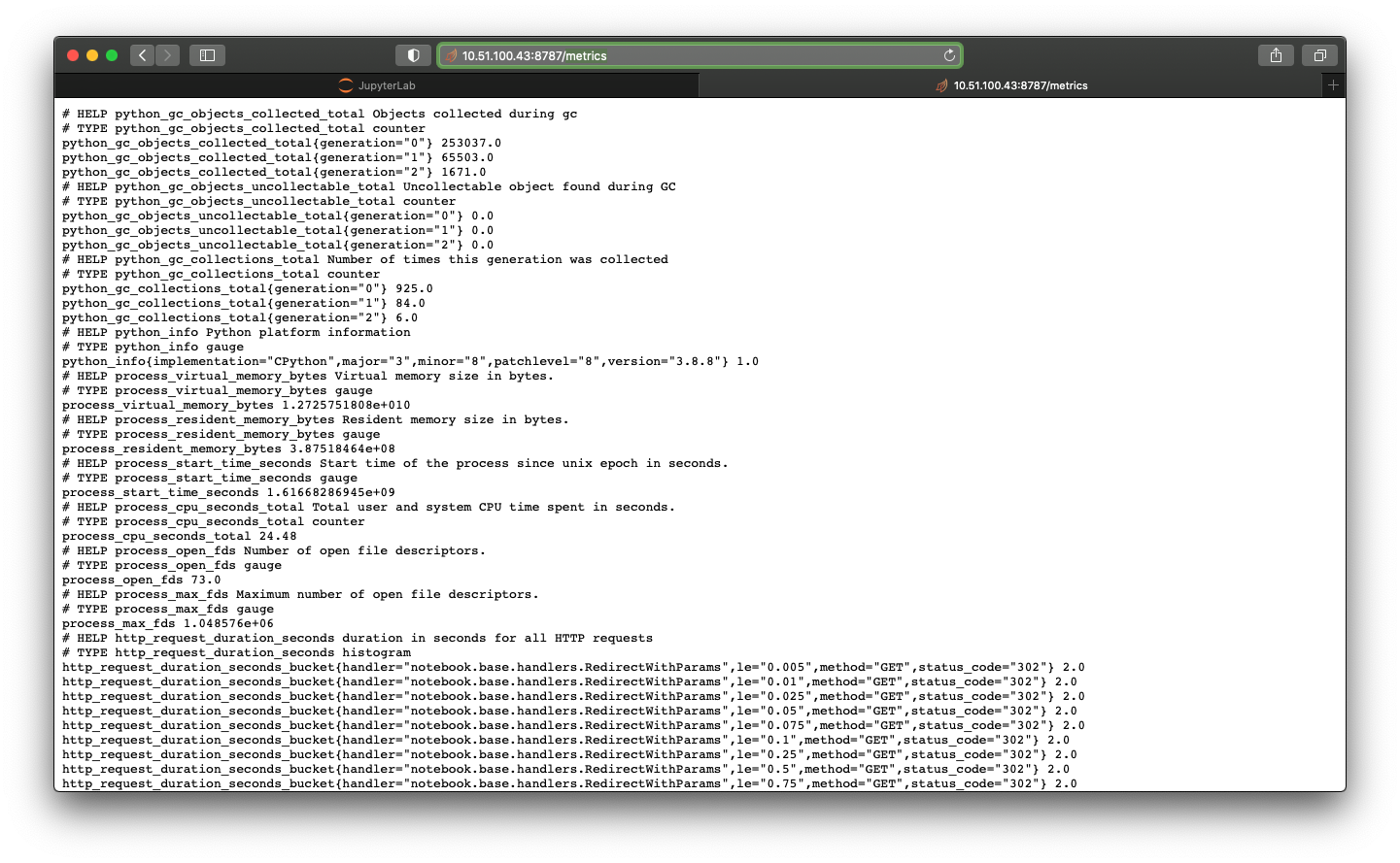 A screenshot of the Dask prometheus metrics endpoint.