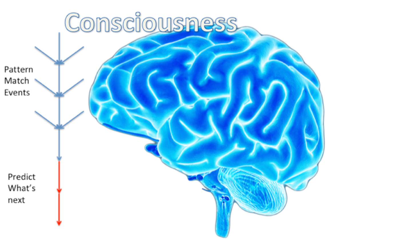 Conscious AIs will need to sleep and dream Chatbots Magazine