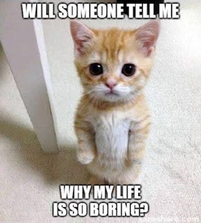 No Life Meme 6 Best And Funny Life Memes To Enjoy Priyabrataa Ganguly Medium No Life Meme 6 Best And Funny Life Memes To Enjoy Priyabrataa Ganguly Medium