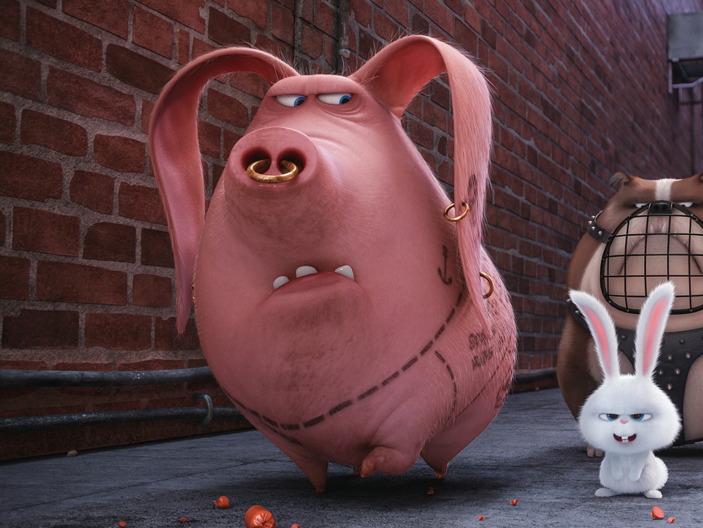 The Secret Life Of Pets Wasn T Lying People Have Tattooed Pigs For Years By Stephanie Buck Timeline