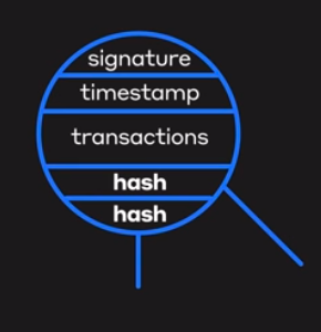 Hashgraph-a better DLT?