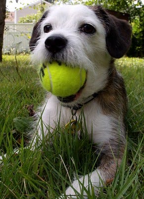 This is image title This is image title