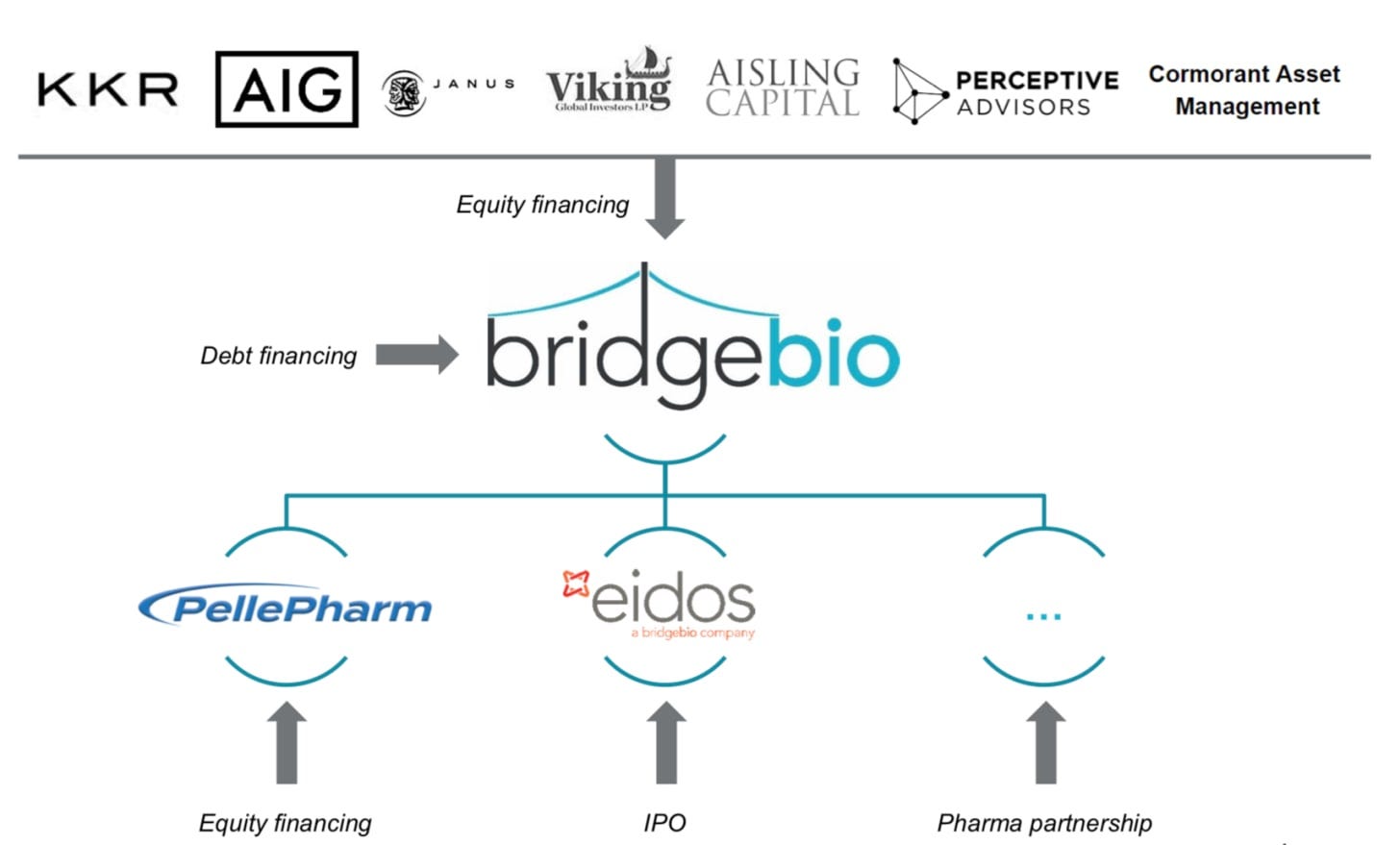 Roivant case study 08 picture