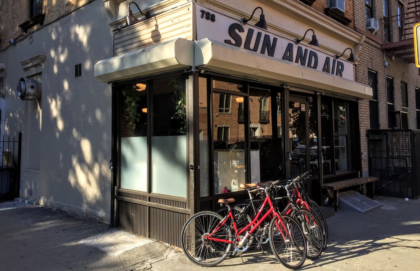 wolf bike shop