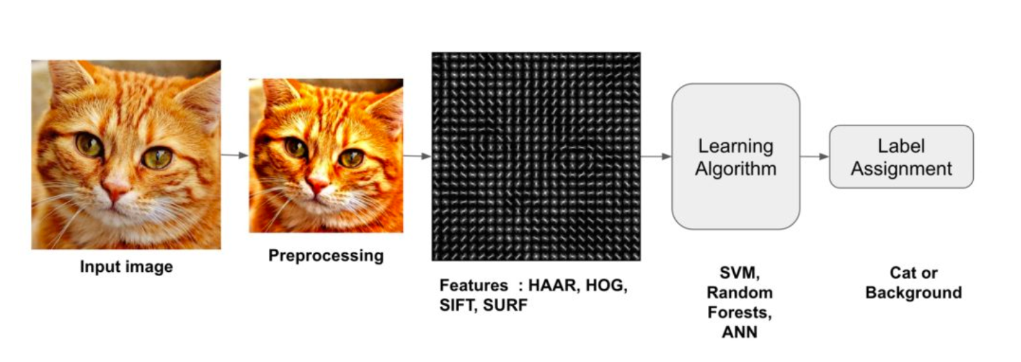 How to set up a Raspberry Pi environment for image processing